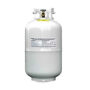 30 lb Steel Propane Tanks