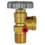 Bulk Tank Service Valve with white background