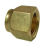 A brass nut is shown with no background.
